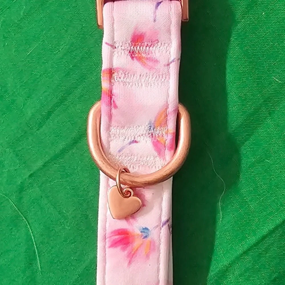 Top Paw top paw